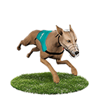 TU娛樂城娛樂城白金賽狗